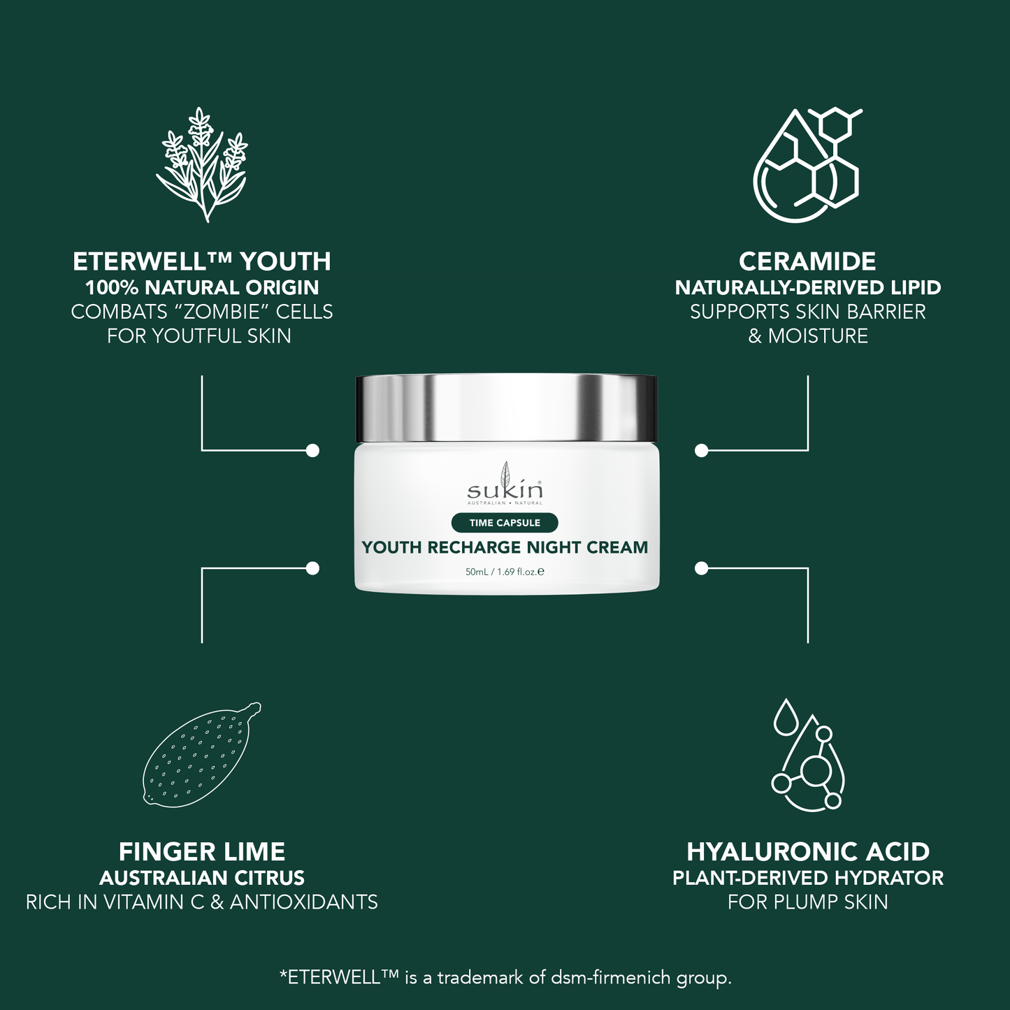 Time Capsule Youth Seal Day Cream 50ml