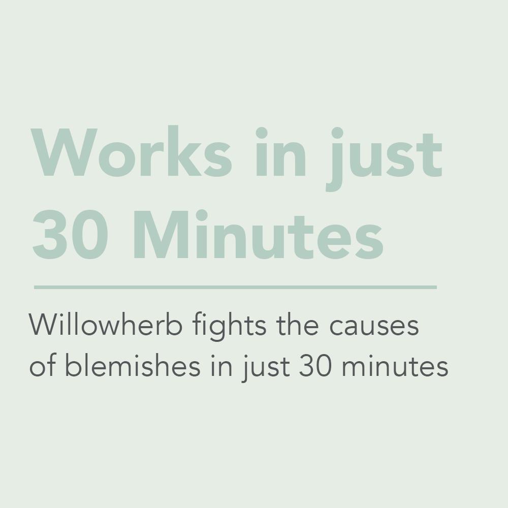 Spot Banishing Gel | Blemish Control 15ml