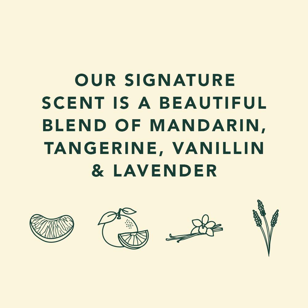 Foaming Facial Cleanser Pump | Signature 125ml